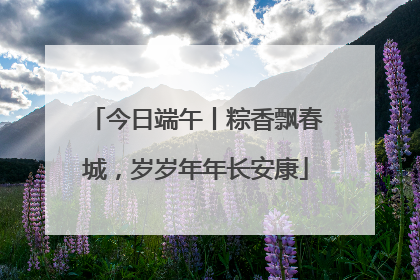 今日端午丨粽香飘春城，岁岁年年长安康