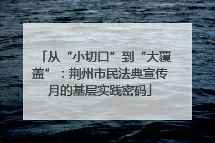 从“小切口”到“大覆盖”：荆州市民法典宣传月的基层实践密码