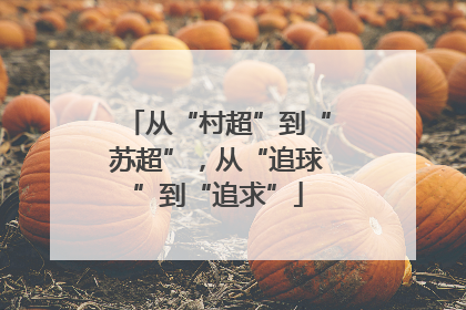 从“村超”到“苏超”，从“追球”到“追求”