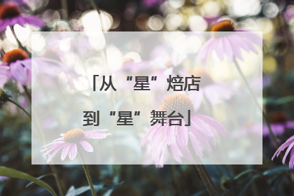 从“星”焙店到“星”舞台
