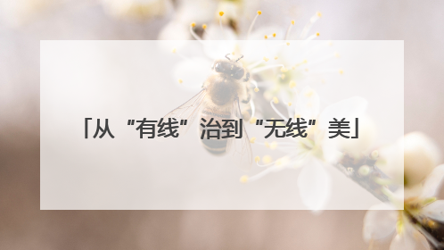 从“有线”治到“无线”美