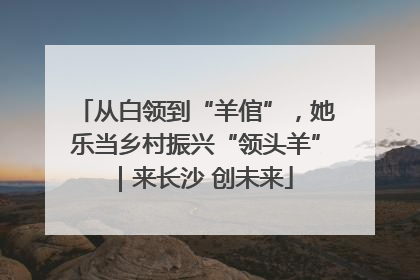 从白领到“羊倌”，她乐当乡村振兴“领头羊”｜来长沙 创未来