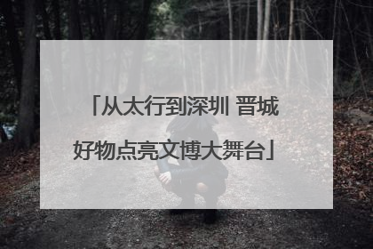 从太行到深圳 晋城好物点亮文博大舞台