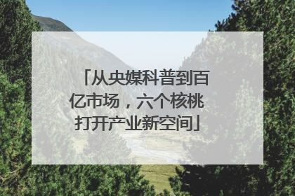 从央媒科普到百亿市场，六个核桃打开产业新空间