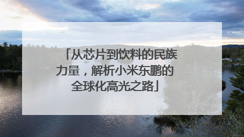 从芯片到饮料的民族力量，解析小米东鹏的全球化高光之路