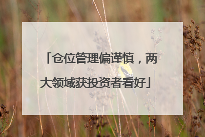 仓位管理偏谨慎，两大领域获投资者看好