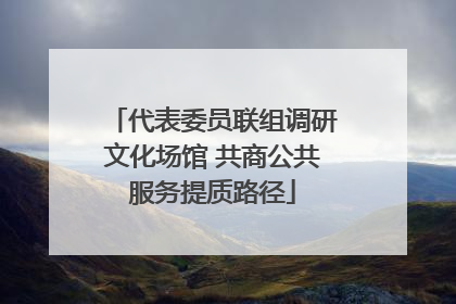 代表委员联组调研文化场馆 共商公共服务提质路径