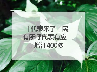 代表来了｜民有所呼代表有应，增江400多年古码头焕新