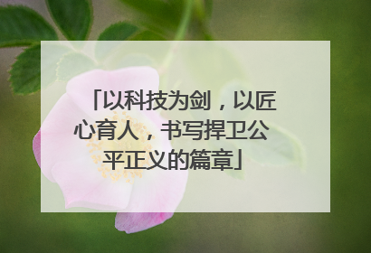 以科技为剑，以匠心育人，书写捍卫公平正义的篇章