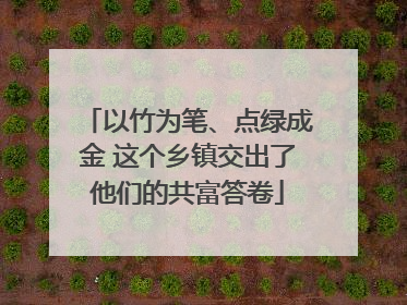 以竹为笔、点绿成金 这个乡镇交出了他们的共富答卷