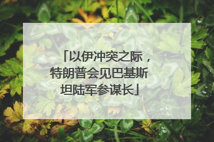 以伊冲突之际，特朗普会见巴基斯坦陆军参谋长