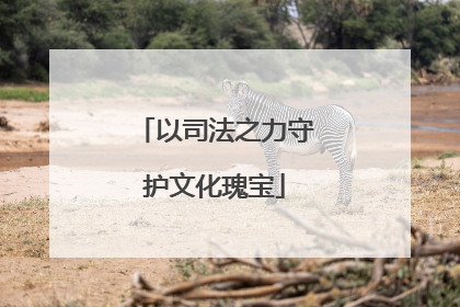 以司法之力守护文化瑰宝