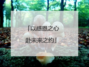 以感恩之心 赴未来之约