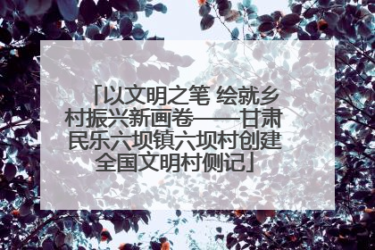 以文明之笔 绘就乡村振兴新画卷——甘肃民乐六坝镇六坝村创建全国文明村侧记