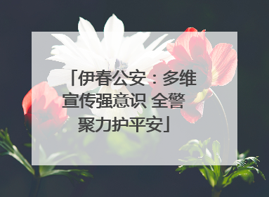 伊春公安：多维宣传强意识 全警聚力护平安