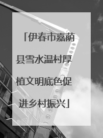 伊春市嘉荫县雪水温村厚植文明底色促进乡村振兴