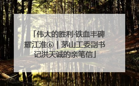 伟大的胜利·铁血丰碑耀江淮⑥｜茅山工委副书记洪天诚的亲笔信