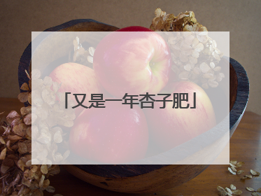 又是一年杏子肥