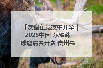 友谊在竞技中升华｜2025中国-东盟藤球邀请赛开赛 贵州惠水燃动“空中芭蕾”