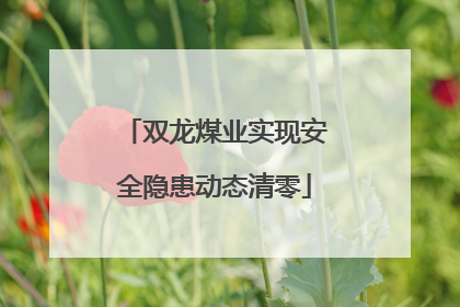 双龙煤业实现安全隐患动态清零