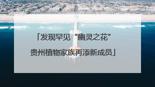 发现罕见“幽灵之花” 贵州植物家族再添新成员