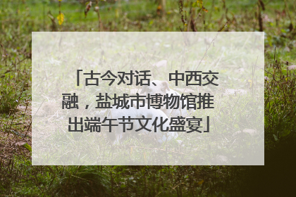古今对话、中西交融，盐城市博物馆推出端午节文化盛宴