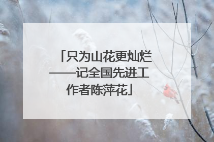 只为山花更灿烂——记全国先进工作者陈萍花