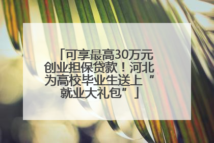 可享最高30万元创业担保贷款！河北为高校毕业生送上“就业大礼包”