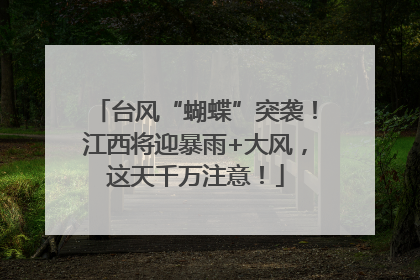 台风“蝴蝶”突袭！江西将迎暴雨+大风，这天千万注意！