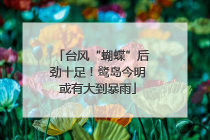 台风“蝴蝶”后劲十足！鹭岛今明或有大到暴雨