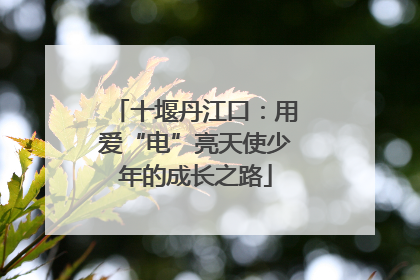 十堰丹江口：用爱“电”亮天使少年的成长之路