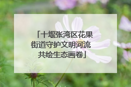 十堰张湾区花果街道守护文明河流 共绘生态画卷