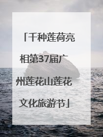 千种莲荷亮相第37届广州莲花山莲花文化旅游节