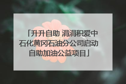 升升自助 涓涓积爱中石化黄冈石油分公司启动自助加油公益项目