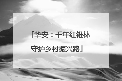华安：千年红锥林守护乡村振兴路