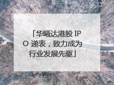 华曦达港股 IPO 递表，致力成为行业发展先驱