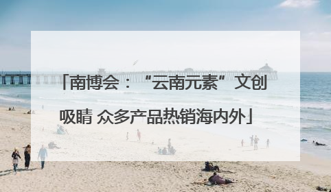 南博会：“云南元素”文创吸睛 众多产品热销海内外