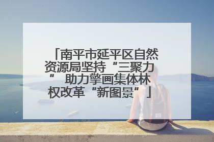南平市延平区自然资源局坚持“三聚力” 助力擎画集体林权改革“新图景”