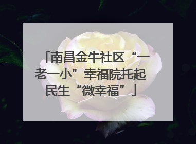 南昌金牛社区“一老一小”幸福院托起民生“微幸福”