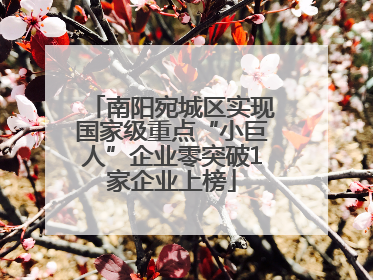 南阳宛城区实现国家级重点“小巨人”企业零突破1家企业上榜