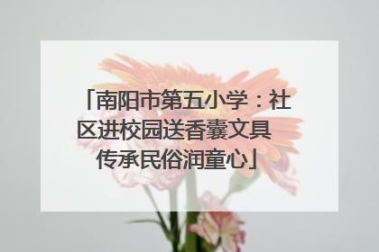 南阳市第五小学：社区进校园送香囊文具 传承民俗润童心