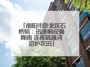 南阳市卧龙区石桥镇：迅速响应强降雨 连夜疏通河道护农田