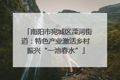 南阳市宛城区溧河街道：特色产业激活乡村振兴“一池春水”
