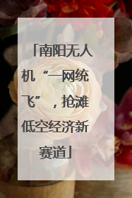 南阳无人机“一网统飞”，抢滩低空经济新赛道