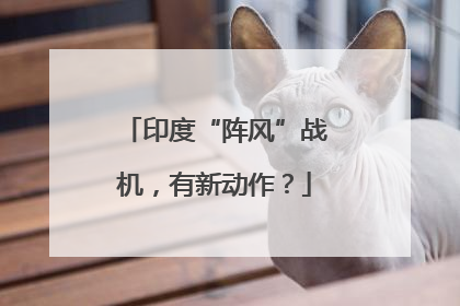 印度“阵风”战机，有新动作？