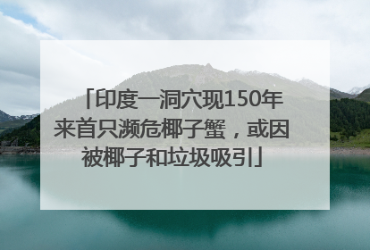 印度一洞穴现150年来首只濒危椰子蟹，或因被椰子和垃圾吸引