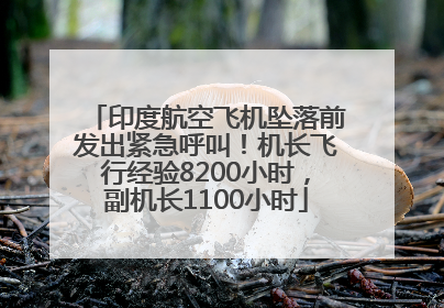 印度航空飞机坠落前发出紧急呼叫！机长飞行经验8200小时，副机长1100小时