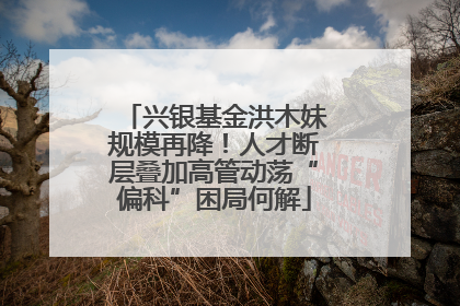 兴银基金洪木妹规模再降！人才断层叠加高管动荡“偏科”困局何解