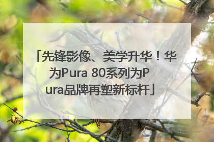 先锋影像、美学升华！华为Pura 80系列为Pura品牌再塑新标杆