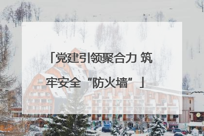 党建引领聚合力 筑牢安全“防火墙”